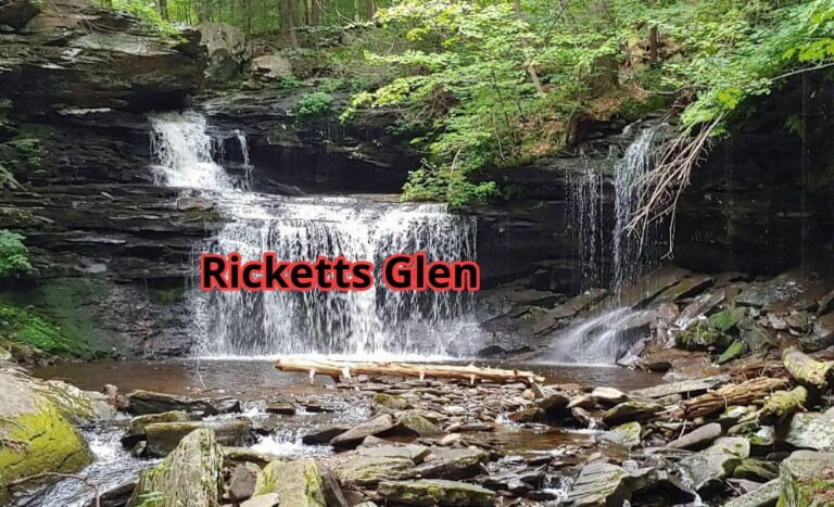 ricketts glen