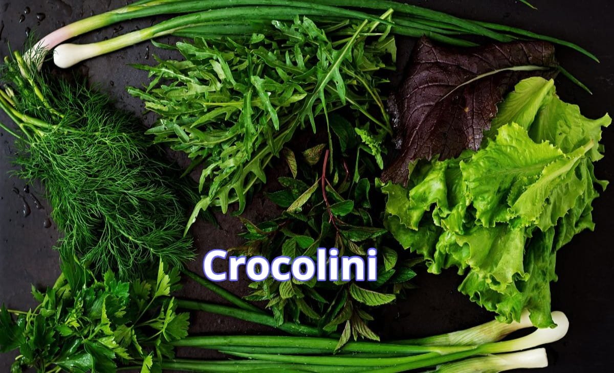 Crocolini
